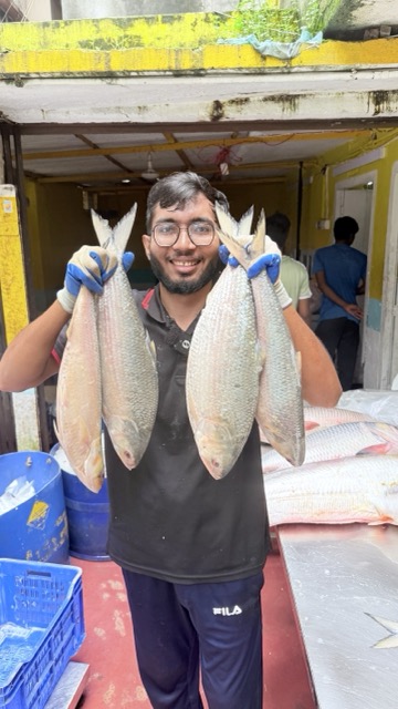 ইলিশ মাছ